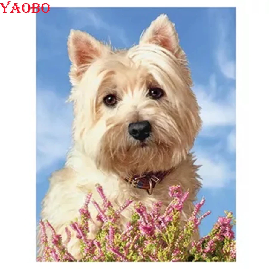Картина Стразы 3D картина из страз сделай сам рисунок westie dog вышивка крестиком