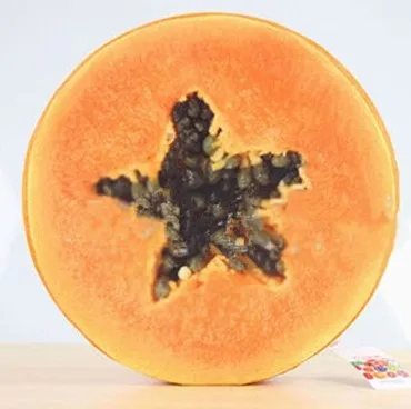 Подушки мягкие здравоохранения диванную подушку заполнения круглый Форма 38X7Cm