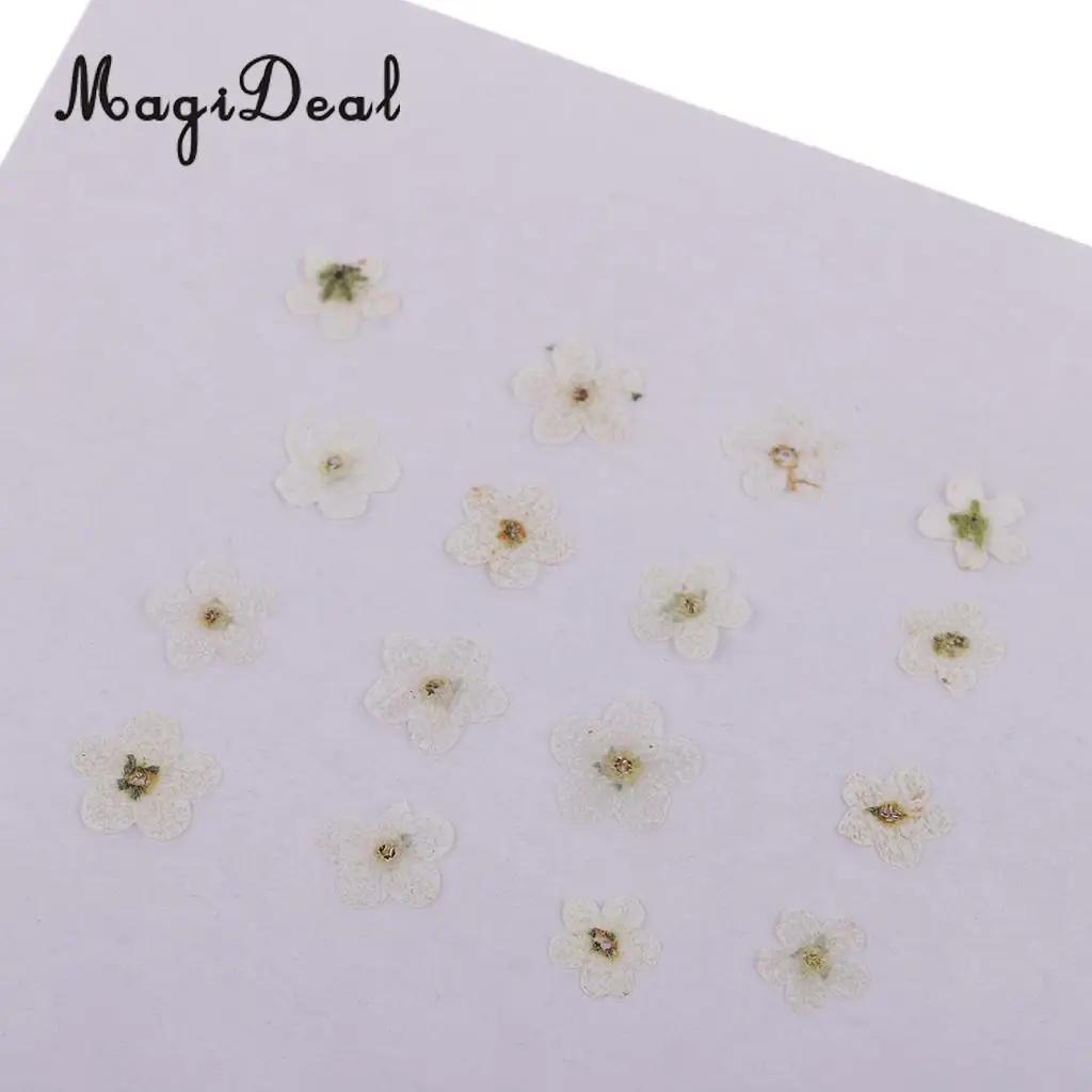 12 шт. декоративные элементы для дизайна ногтей|Искусственные и сухие цветы| |
