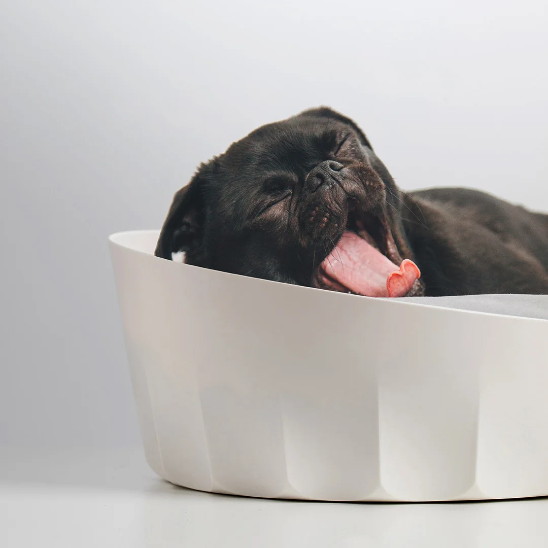 Xiaomi Jordan&judy Pet Nest Bed Round Easy To Disassemble Dogs Cats Net Bed With Soft Mat