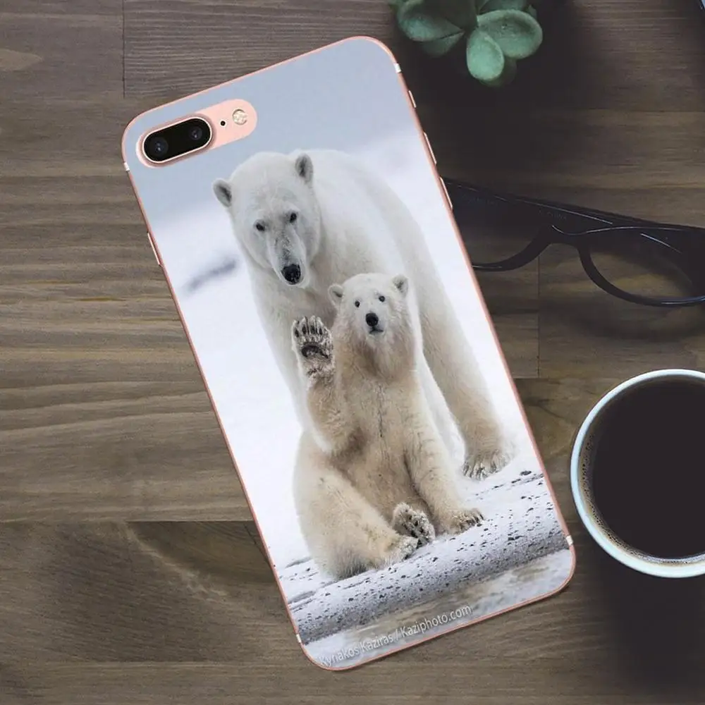 Милый чехол для телефона черный белый медведь Huawei G8 Honor 5C 5X 6 6X 7 8 9 Y5II Mate P7 P8 P9 P10 P20 Lite