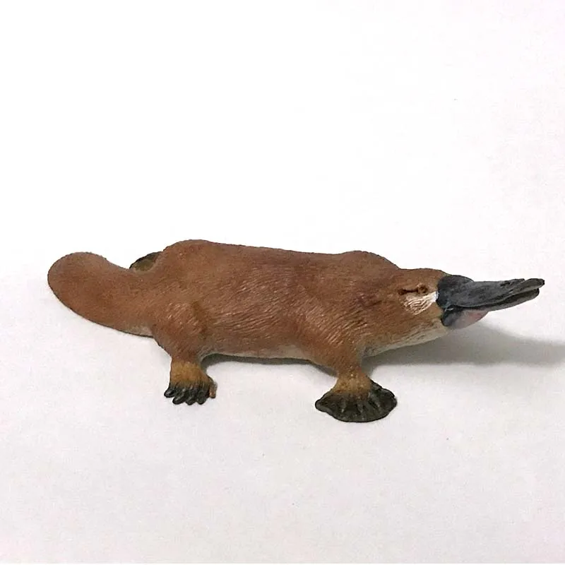 

pvc figure Simulation of marine animals Scenery model ornaments platypus