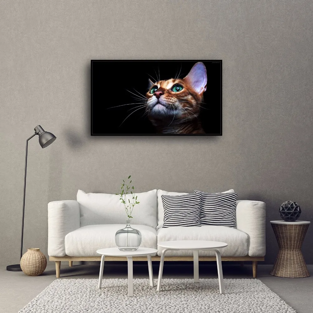 SR101087 Kitten Cute Natural Scenery Animal. HD Canvas Print Home decoration Living Room bedroom Wall pictures Art painting | Дом и сад