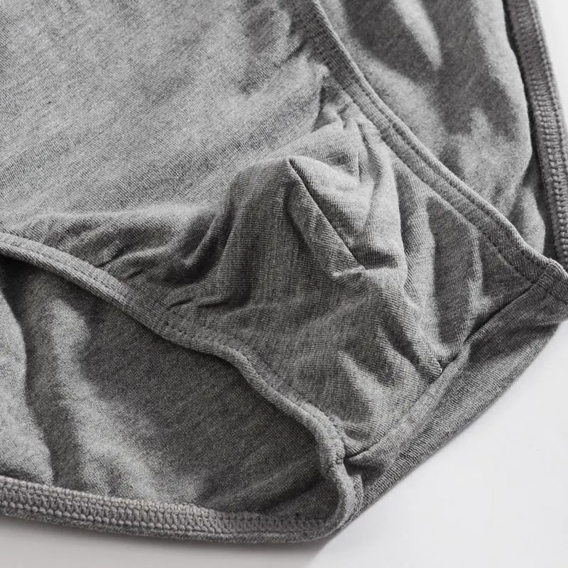 4pcs/lot Mens briefs underwear male underpants men sexy china panties man low waist modal spandex jockstrap panty |
