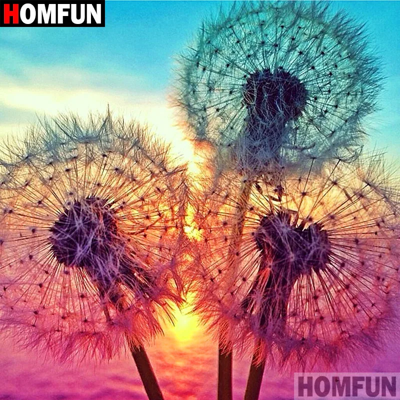 Алмазная 5D картина HOMFUN сделай сам полноразмерная/круглая 3d-вышивка Одуванчик