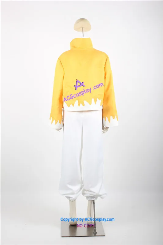 Цельнометаллический костюм алхимика Линь Яо для косплея | Тематическая одежда и