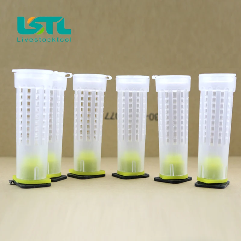 Бесплатная доставка 100 шт. набор стаканов для вывода ячеек пчеловодства клетки