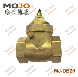 Image for 2020 MJ-DB25 1 inch Paddle magnetic brass type flo 