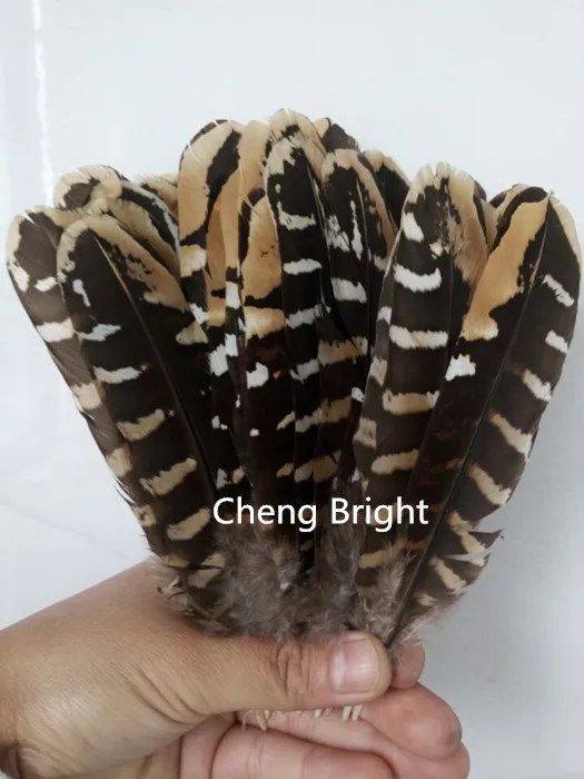 10 шт. редкие натуральные перья фазана 15-20 см | Дом и сад