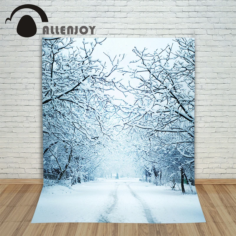 Allenjoy зимний фон для фотосъемки белый снег дорога ветка Романтический парк дерево