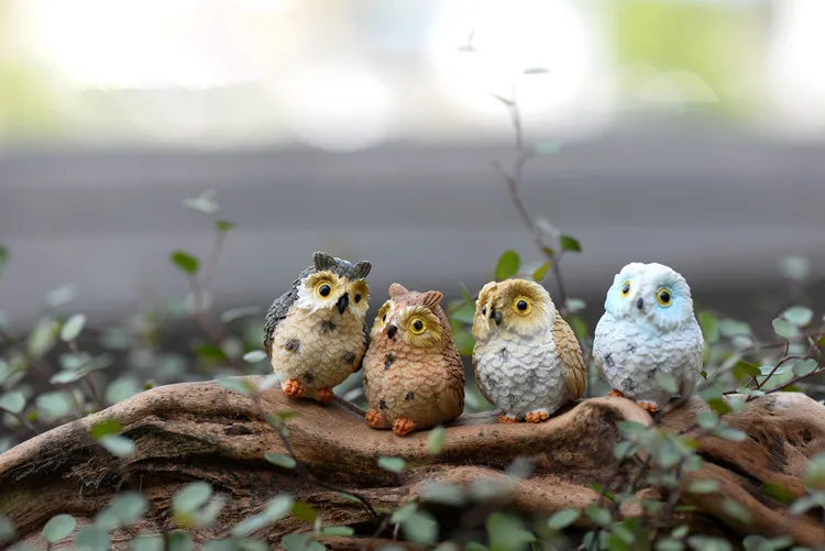 4 шт./милая сова/Сказочный Садовый Гном/terraium украшения/изделия из
