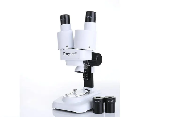 Datyson 20X/40X LED бинокулярный стерео микроскоп для Дети наука образовательных