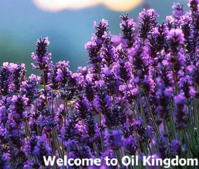 Эфирное масло французской лаванды 2 мл акне Индия восстанавливает шрамы помогает