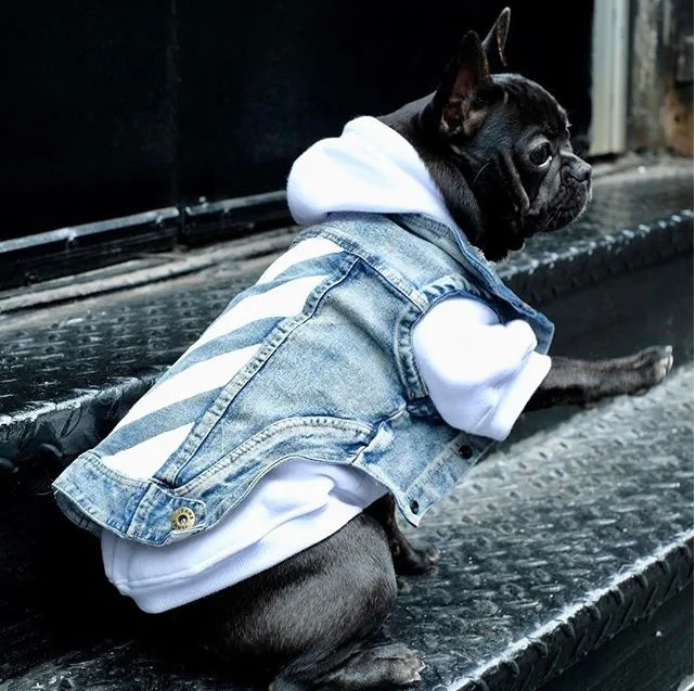 Pets Tide Brand Clothes Kitty Method Bucket Myna Tactic Schnauzer Puppy Autumn And Winter Thin Section Cowboy Vest |