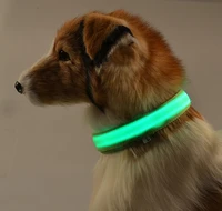 led dog collar teddy leash harness cute pet collars small dogs night safety flashing luminous glow supplies pitbull chihuahua