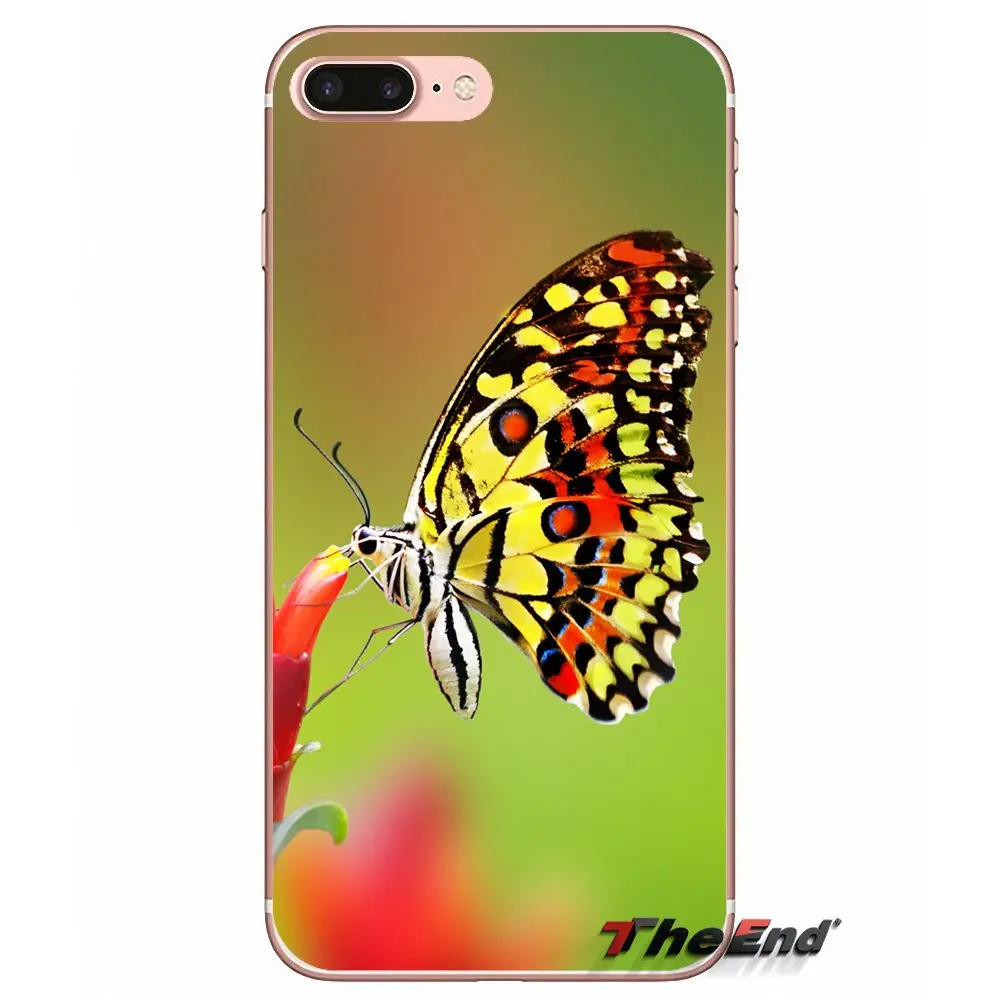 Аксессуары в виде бабочек чехлы для телефонов Samsung Galaxy S2 S3 S4 S5 MINI S6 S7 edge S8 S9 Plus Note 2 3 4
