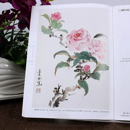 2 шт./компл. Китайская традиционная тонкая линия gongbi biao miao художественная книга