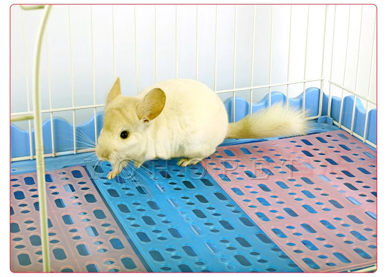 Небольшие коврики для домашних животных кролик морская свинка белка Тоторо