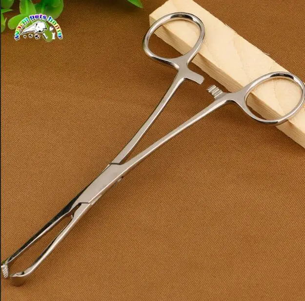 stainless steel Алиса крыса зуб зажимы ПЭТ Ортопедические Хирургические инструменты Ткани Щипцы Шейки Матки Щипцы - Цвет: stainless steel