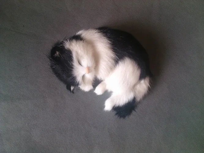 

Новая модель спящего кота в реальной жизни, пластиковая и меховая имитация, черно-белая кукла-кошка, около 14x11 см