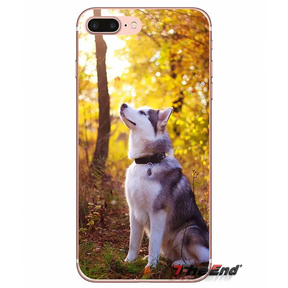 Чехол из силикагеля для Samsung Galaxy J1 J2 J3 J5 J7 A3 A5 A7 2015 2016 2017 J530 J730 Fundas Coque|Чехлы-накладки|