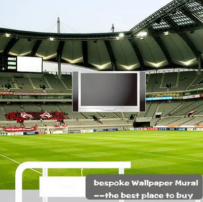 Оптовая продажа 3d фреска для спорта футбольного стадиона настенная Фреска