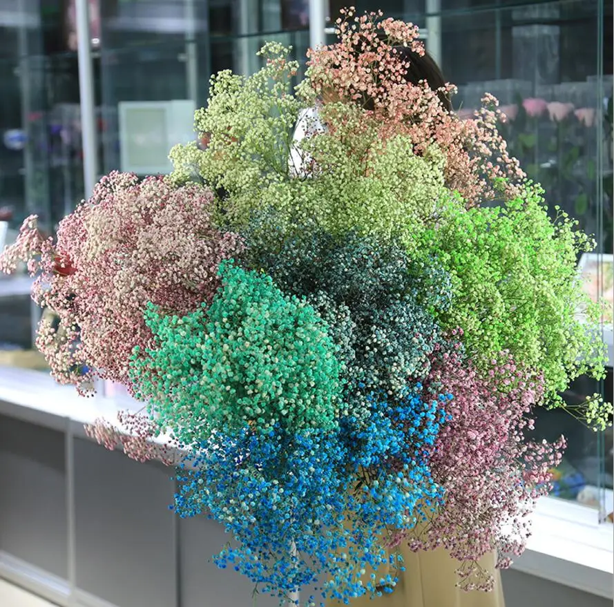 1 букет сохраненных свежих сушеных цветов Гипсофилы для свадьбы домашней