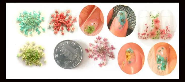 3D дизайн ногтей сухой цветок 12 видов цветов/упаковка сделай сам Типсы для дизайна