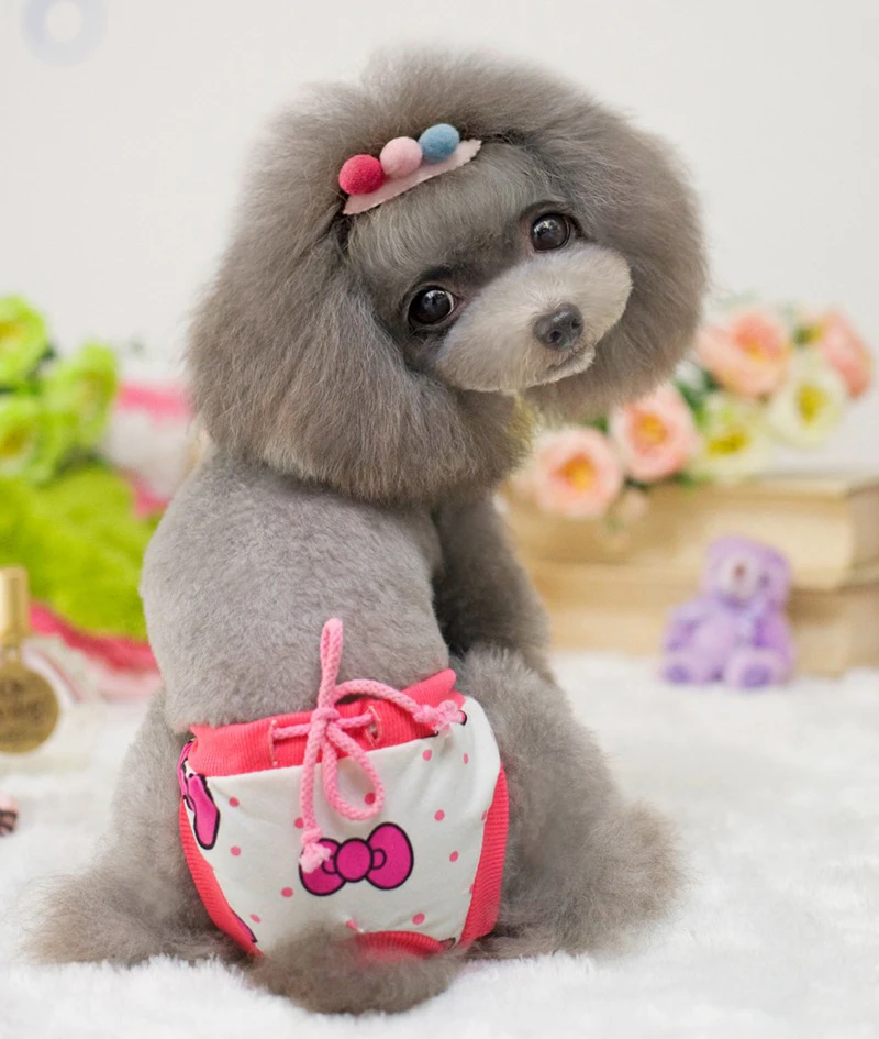 Гигиенические трусы для собаки сучки щенка санитарные милые звезды или бант