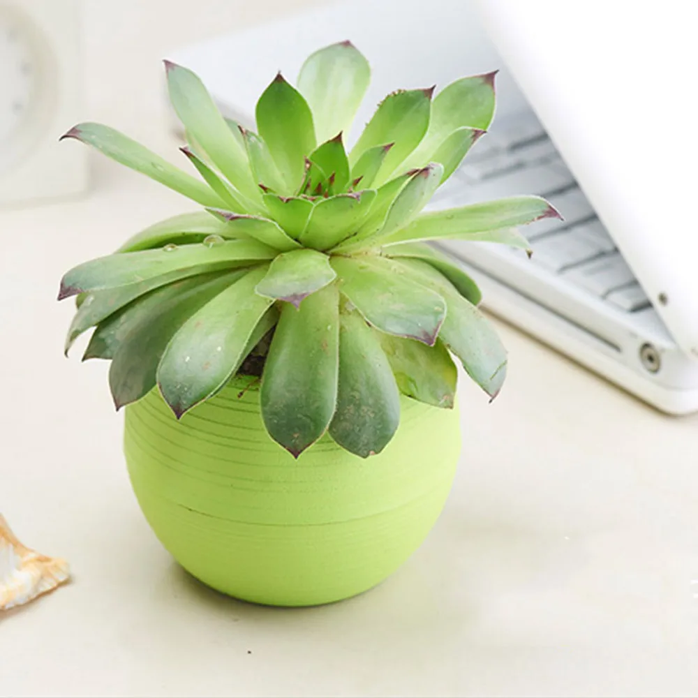 3 шт./компл. мини красочные круглые пластиковые цветочные горшки для растений