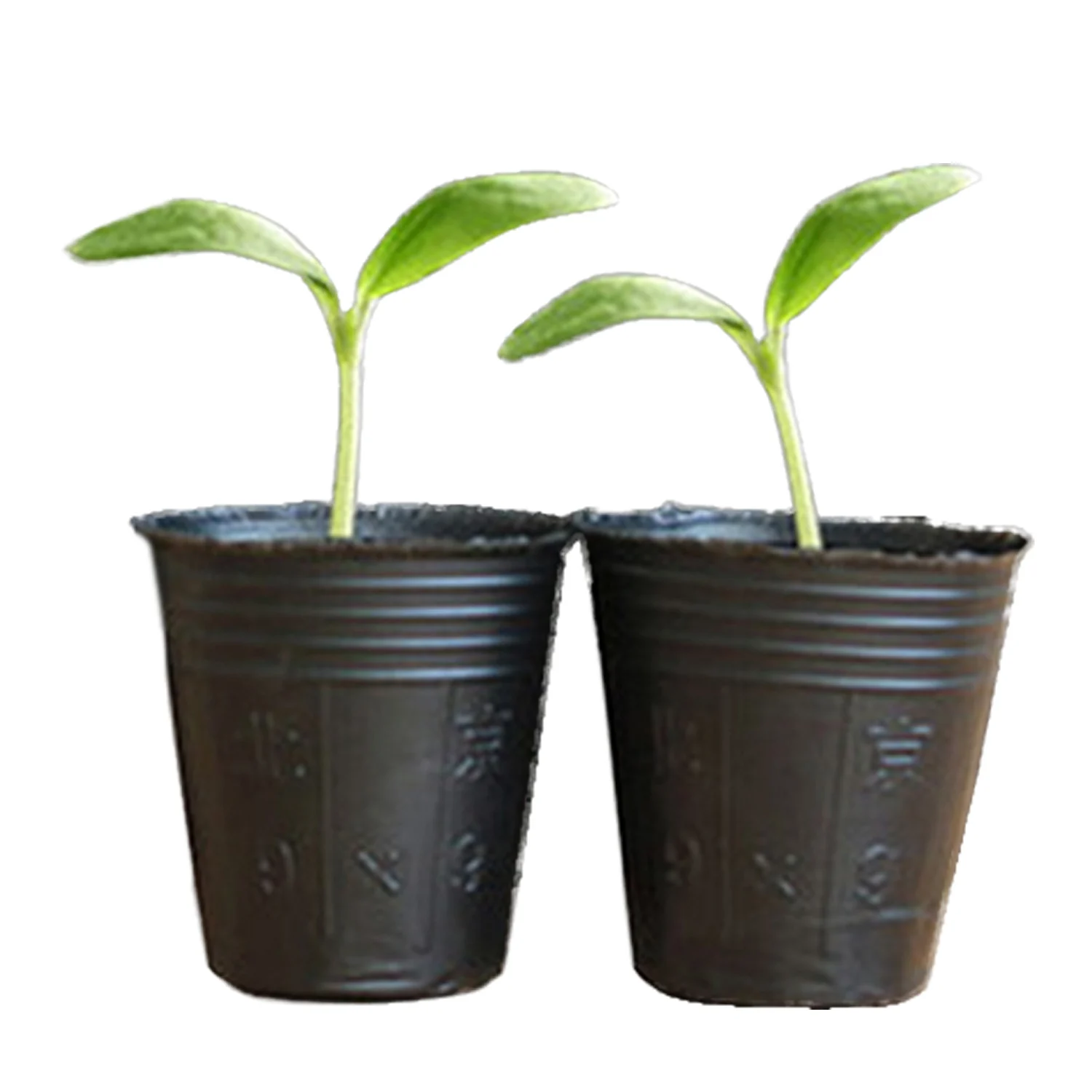 100 шт. одноразовые пластиковые растения цветочный лоток для семян|Детские горшки|