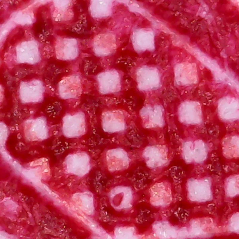 Лучший цифровой микроскоп увеличенный 100 раз 200 из светодиодов легкой