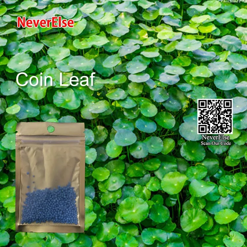 Coin leaf Аквариумная трава, семена растений, 9 видов водорослей, водная трава, семена аквариума, украшение для аквариума, аксессуары для подводной съемки, ландшафтный орнамент для травы - Цвет: Coin leaf
