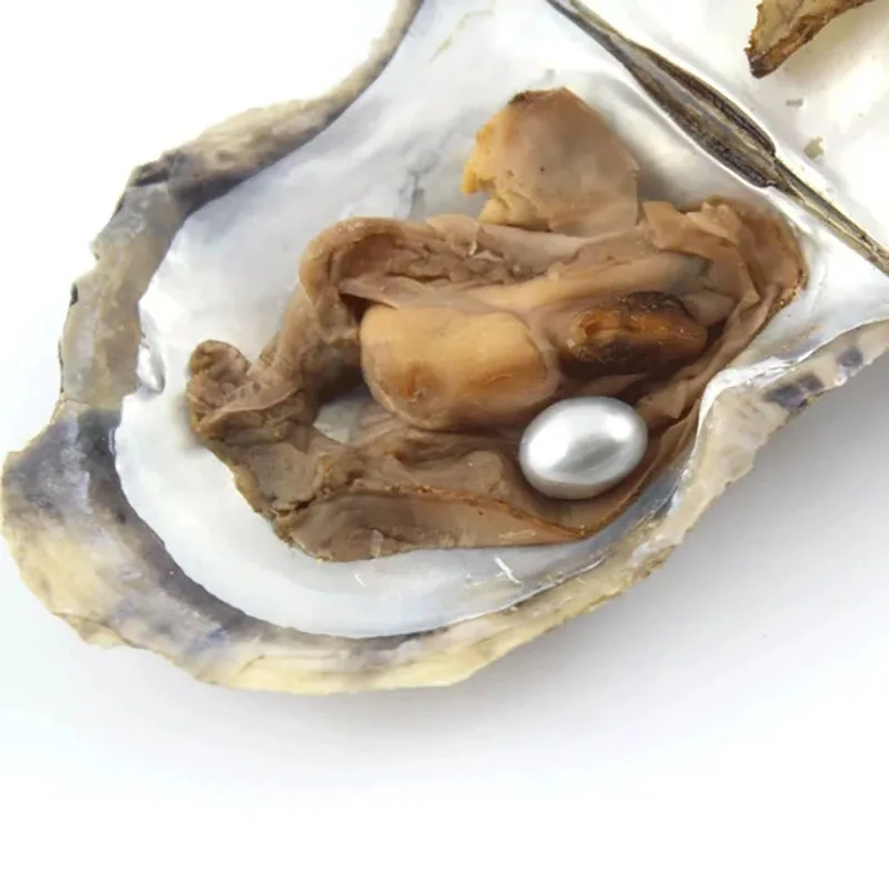 Выгодное предложение 6-8 мм Овальный Форма Жемчуг культивированный Oyster с одной жемчужиной внутри(10 шт./упак - Цвет: Серый