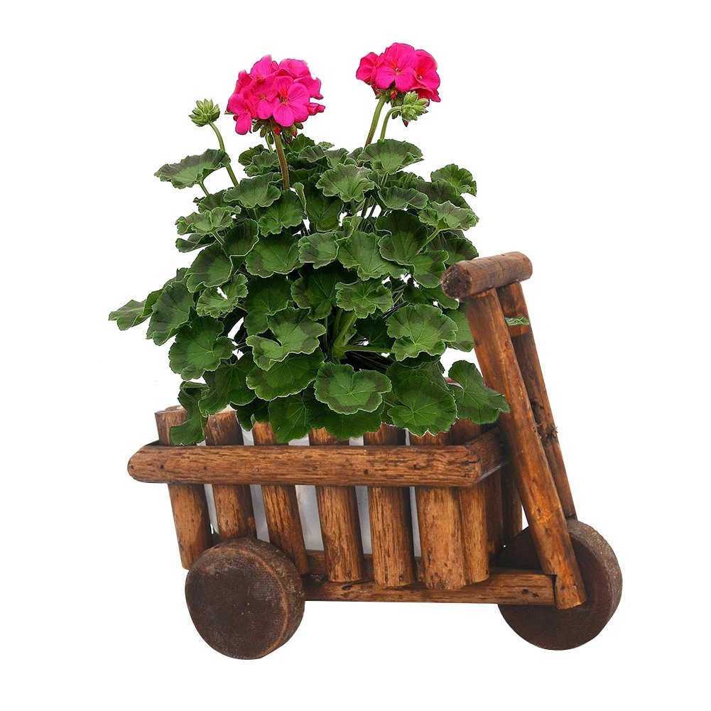 Тачка садовый декор цветочный горшок растения мини суккулент офисная настольная