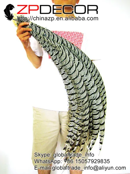 ZPDECOR 32-36 дюймов (80-90 см) 10 шт./лот редкие натуральные черные и белые зебры женские
