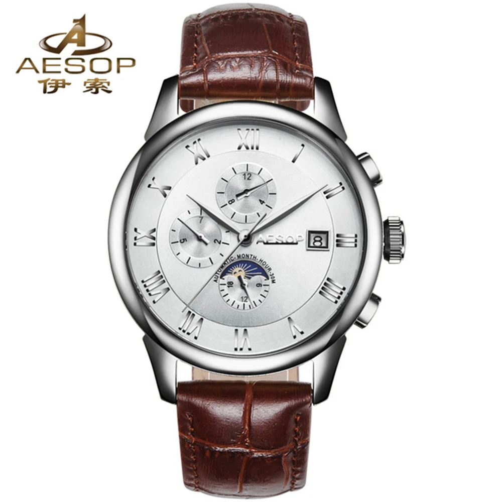 AESOP брендовые часы Мужские Роскошные автоматические механические день дата