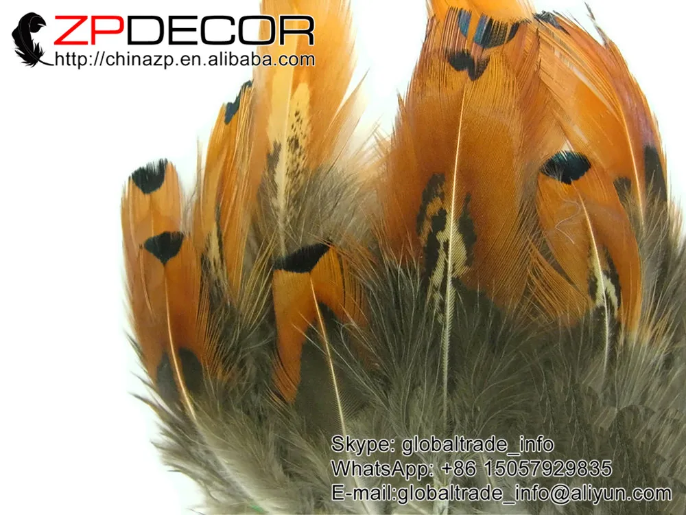 ZPDECOR 6 10 см 200 шт./лот чистое Золотое кольцо на шею оперение фазана свободные перья