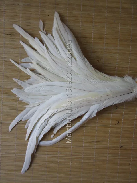 

Rooster feather Beige DIY feather clothing jewelry accessories / wedding Party supplies performance necessary