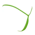 Экстремальные сексуальные каплевидные G-стринги женские Мини Микро Бикини стринги хипстерские Горячие крошечные Танга Трусики с Т-образной спинкой нижнее белье