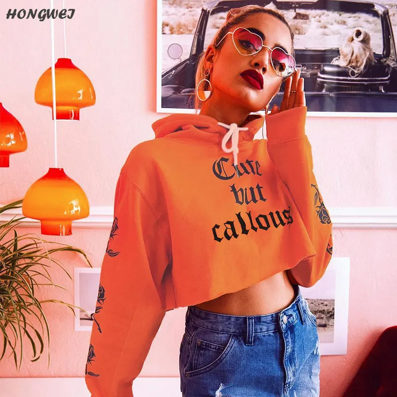 Новый Harajuku Хип-Хоп Уличная буквы и принтом роз укороченные толстовки свободные