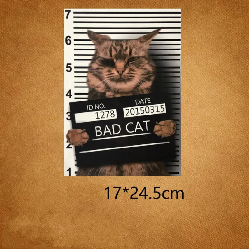 17x24,5 см модные наклейки с котом и утюгом моющиеся аппликации А-уровня пластыри теплопередача для футболок аксессуары для одежды и джинсов