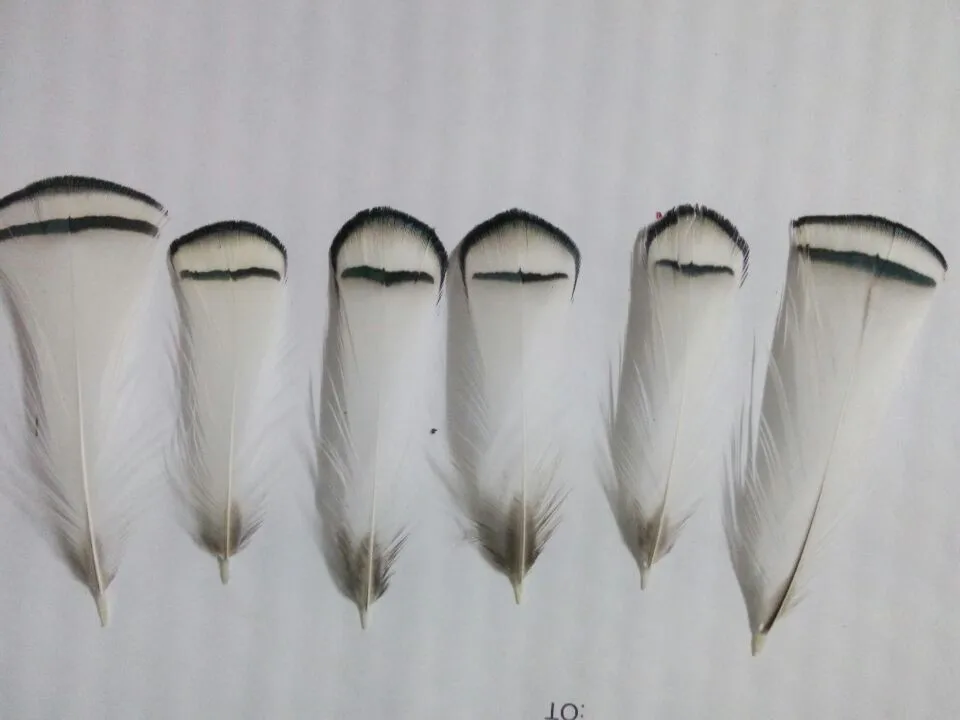 Новинка! Натуральные качественные голубые перья фазана 20 шт. 2 4-3 дюйма/6-8 см в