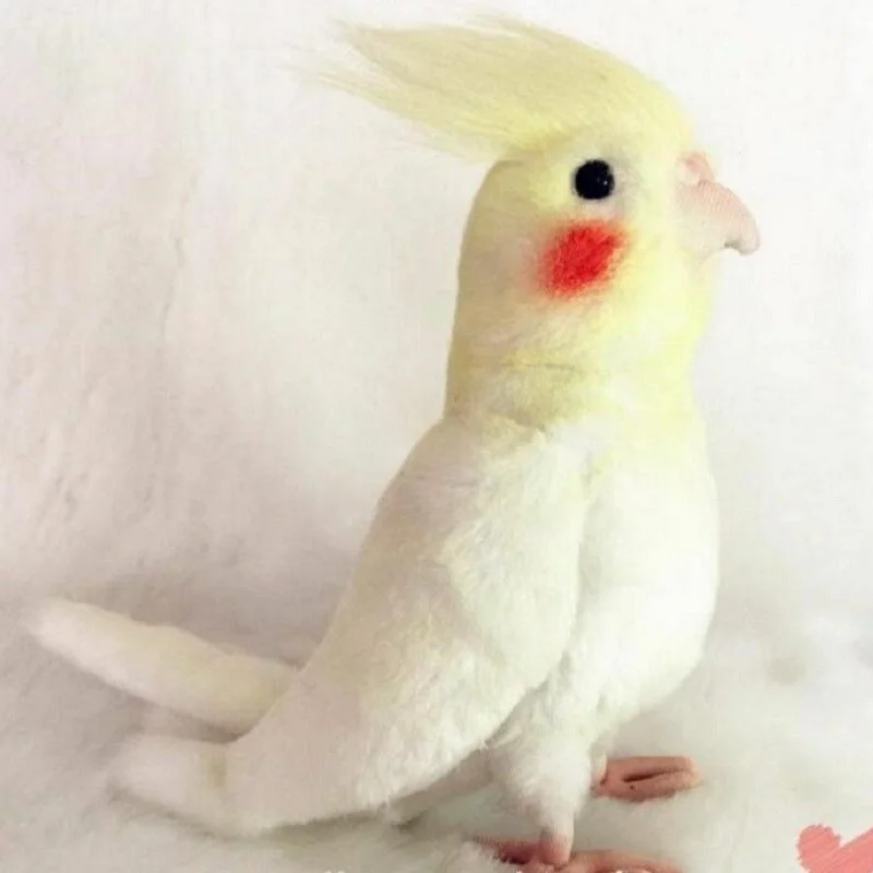 2 Цвета Моделирование Cockatiel кукла чучела птица плюшевая игрушка кукла животного детский подарок