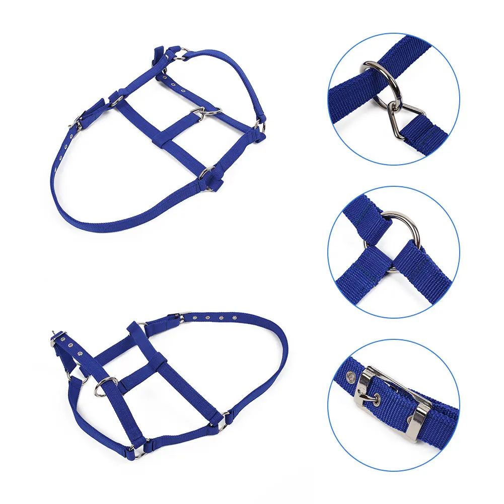 Регулируемый ремень для верховой езды с лямкой и на шее аксессуар красный/синий |