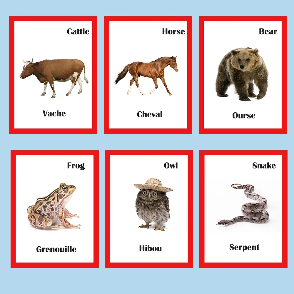 30 шт. Детские Обучающие Карманные флэш карты|Чтение| |