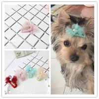 dog grooming clip pet dog hairlace pendant rabbit ear bow hairpin 20pcslot