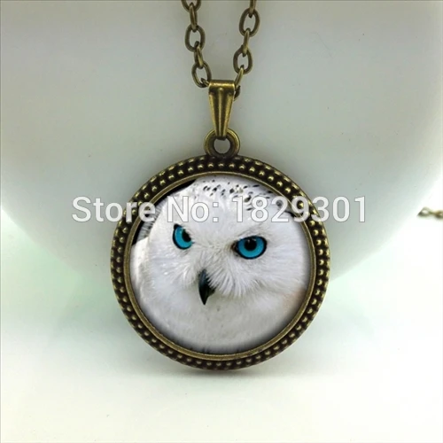 Сова Кулон сова Ожерелье Ювелирные Изделия Стеклянный Купол Ожерелье|necklace