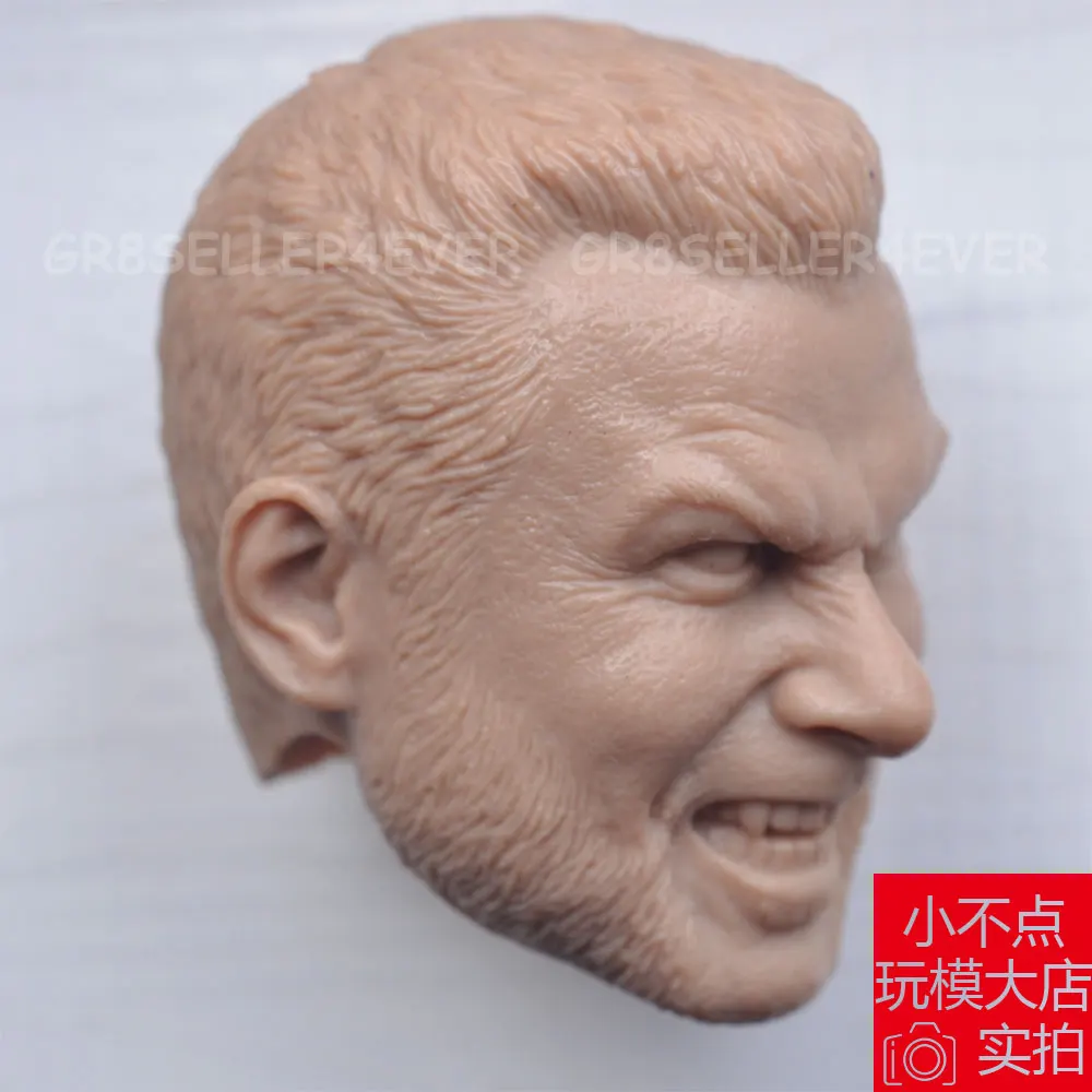 Пользовательские горячие 1/6 весы пустая голова Sculpt Росомаха Sabretooth Liev Schreiber