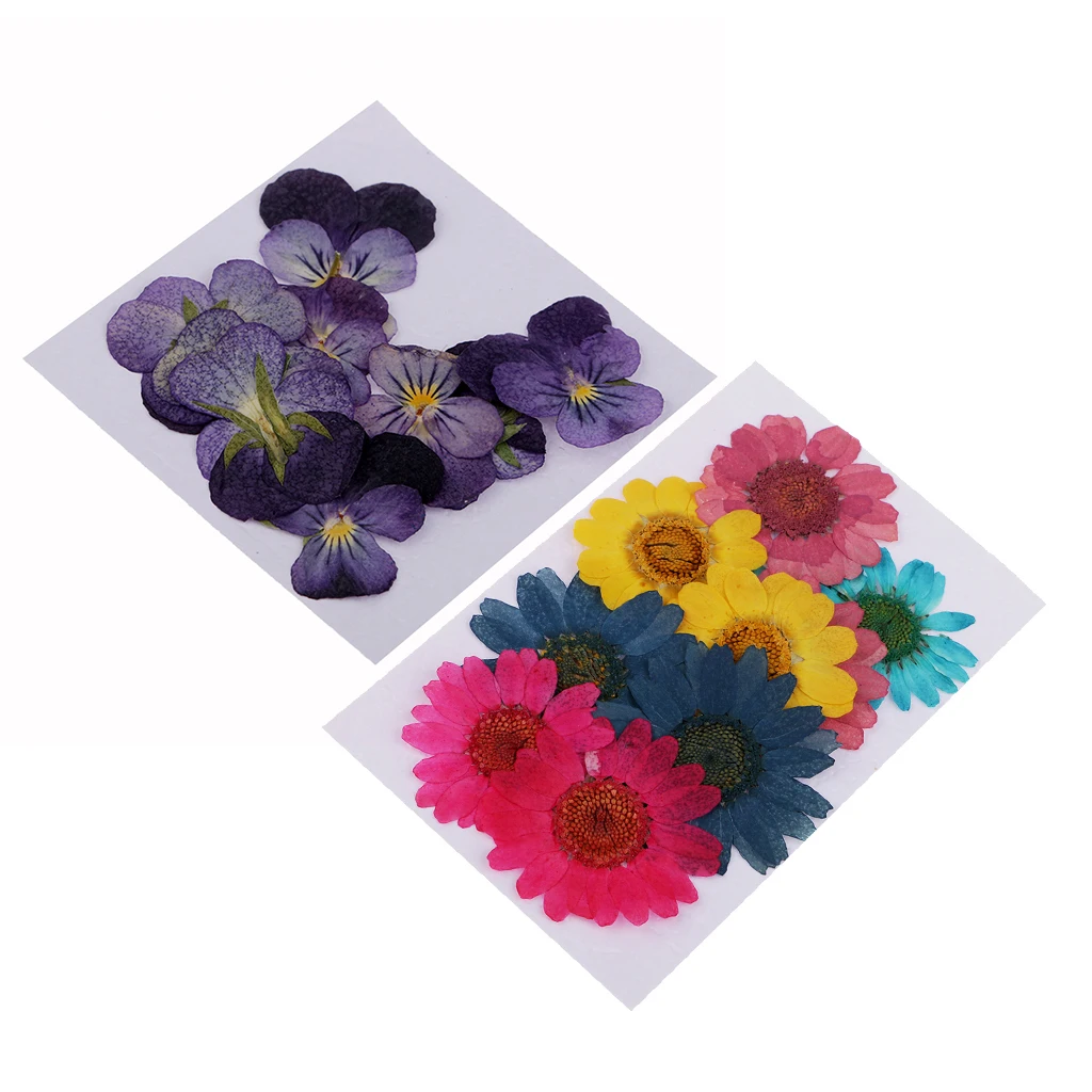 22 шт различные формы Цвета прессованный высушенный цветы набор сделай сам для